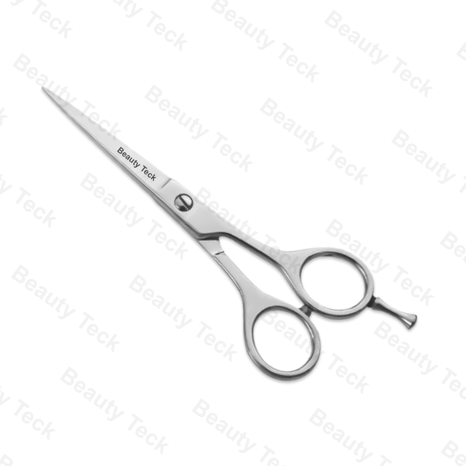 Professional Barber Scissors