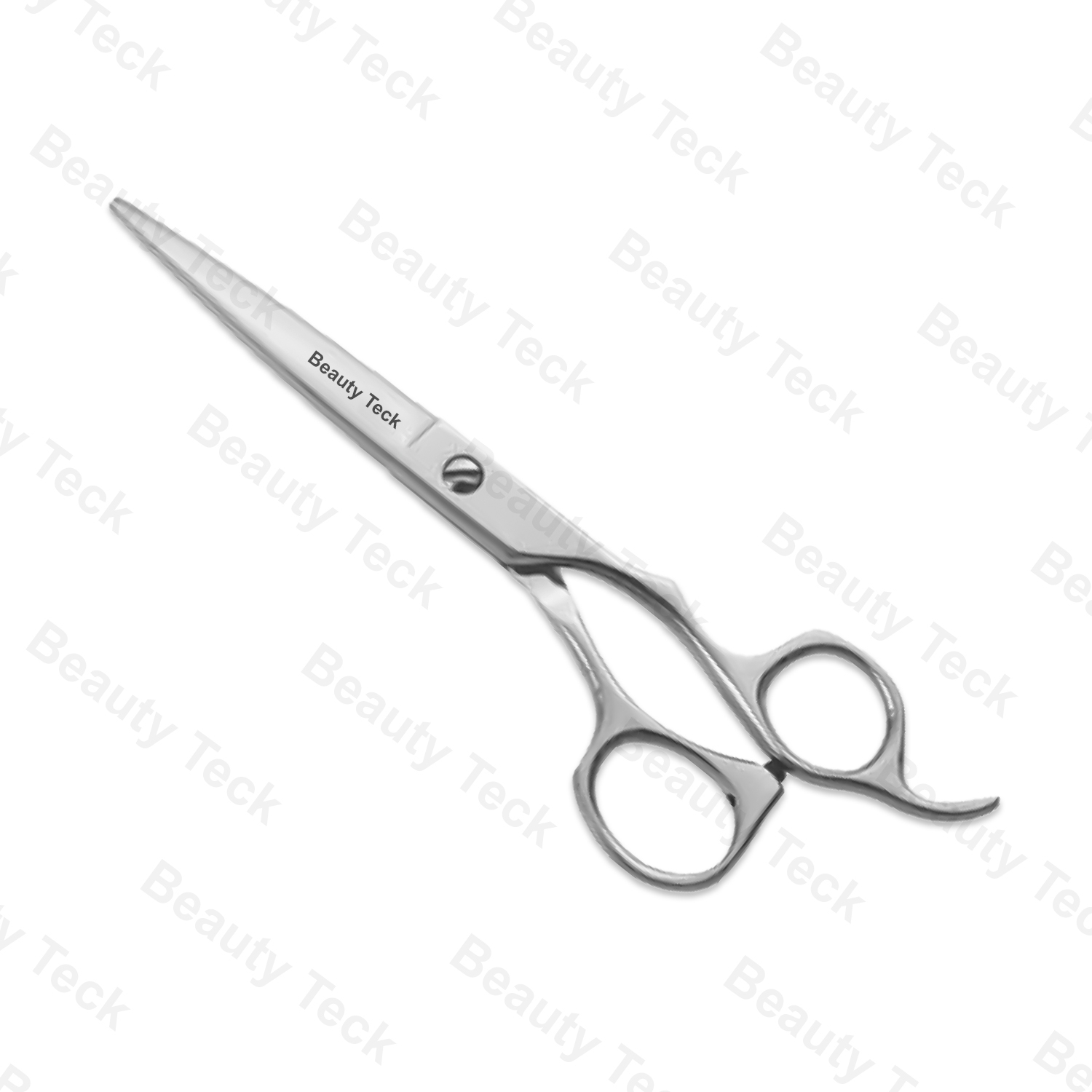 Professional Barber Scissors