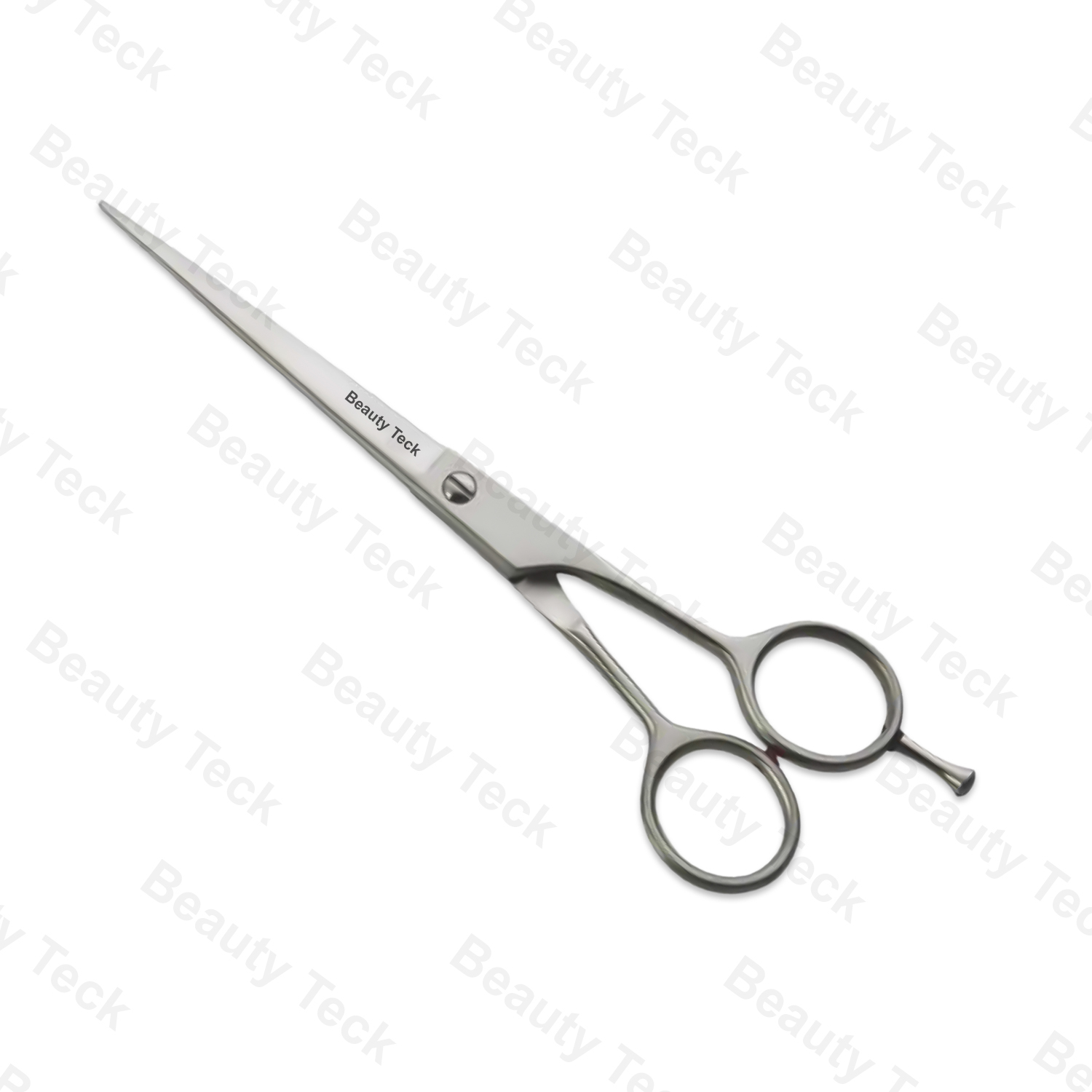 Professional Barber Scissors