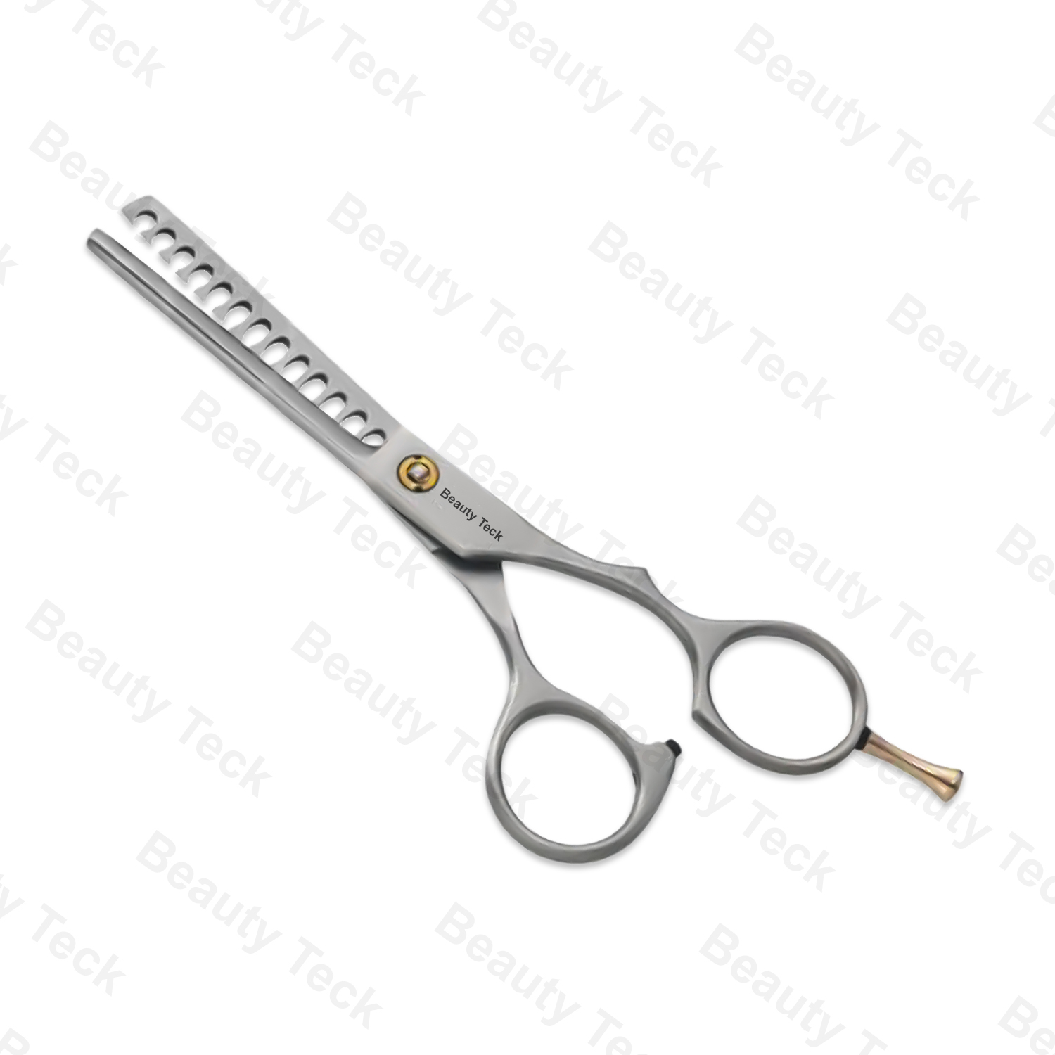 Professional Thinning Scissors