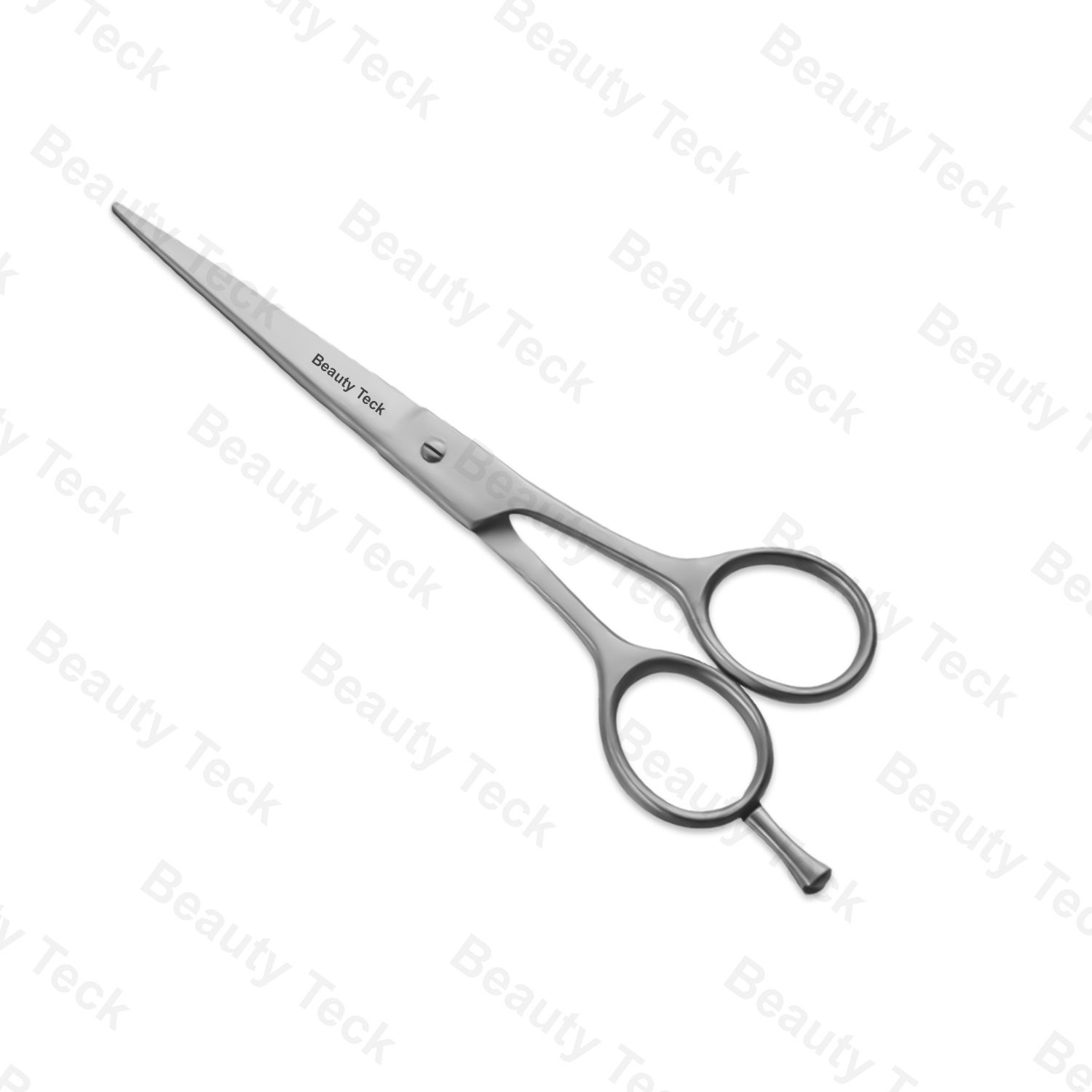 Professional Barber Scissors