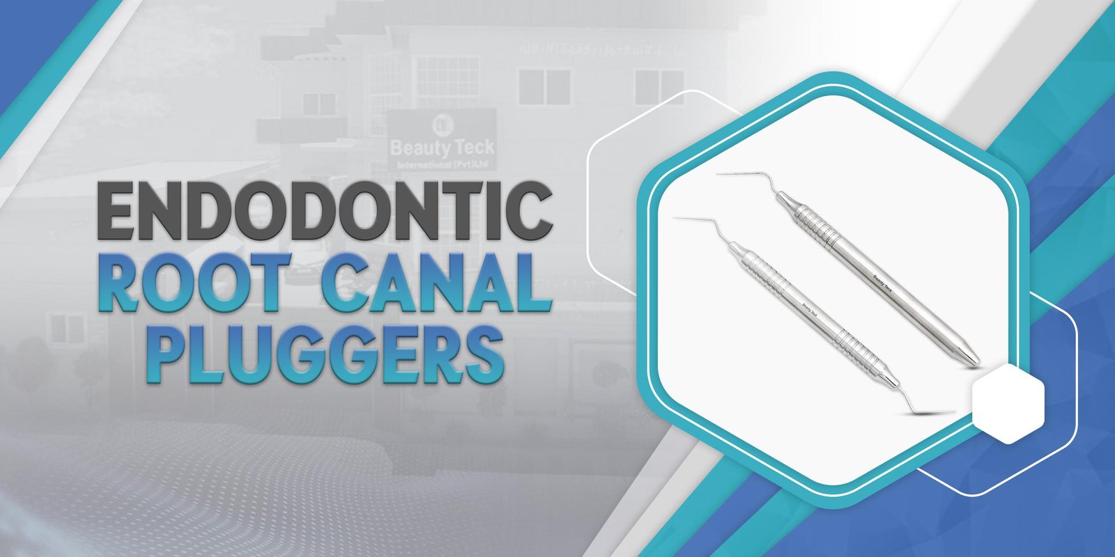 Endodontic Root Canal Pluggers.