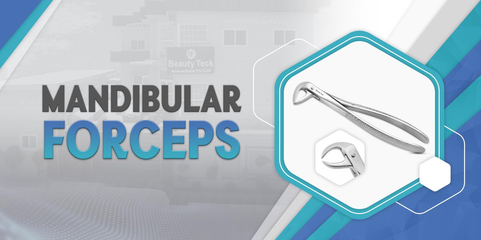 Mandibular Forceps.