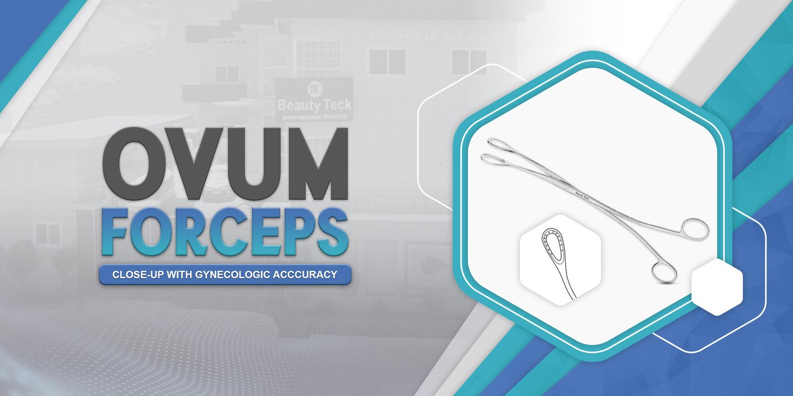 Ovum Forceps: Close Up with Gynecologic Accuracy.