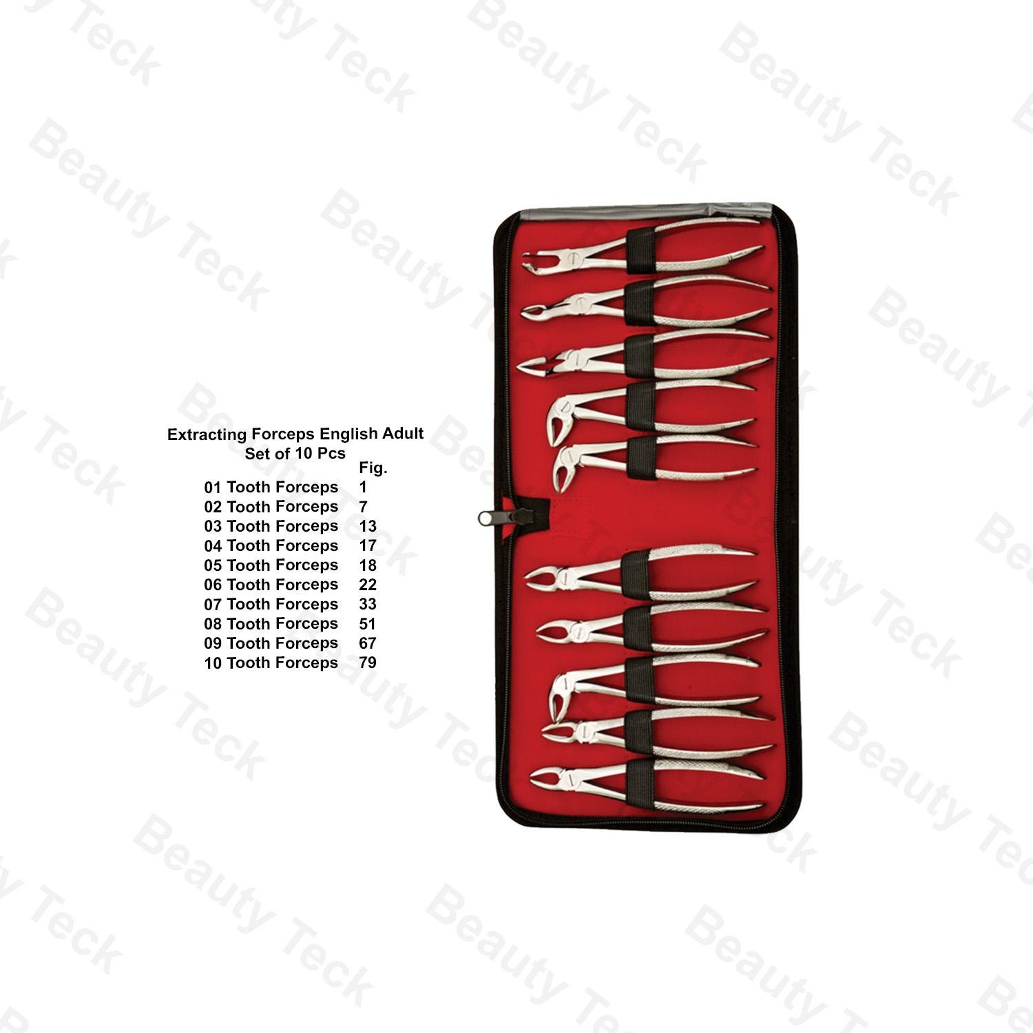 EXTRACTING FORCEPS ENGLISH ADULT (SET OF 10 PIECES, FIG NO. 1, 7, 13, 17, 18, 22, 33, 51, 67, 79,  E