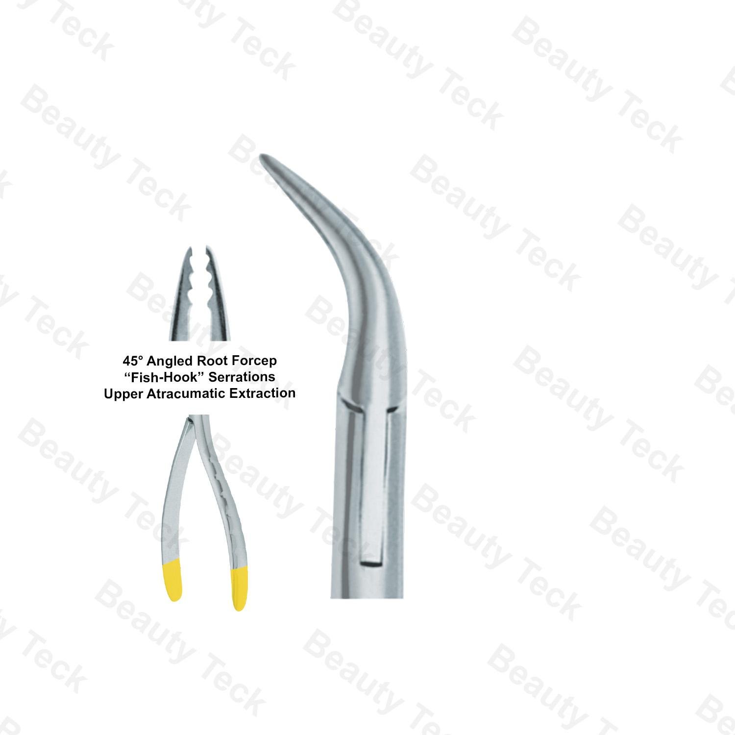 EXTRACTING FORCEPS AMERICAN PATTERN (45 degree ANGELED ROOT FORCEP 