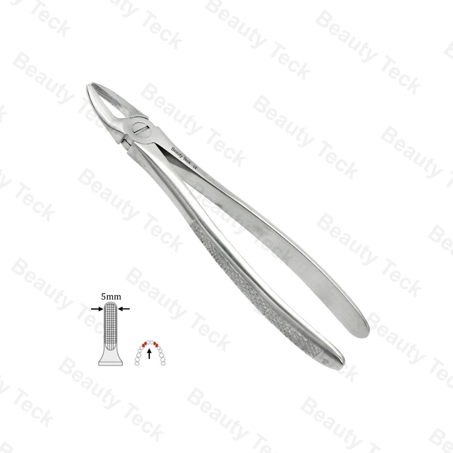 02 Upper & Side Incisors Premolar EF, Serrated, EU