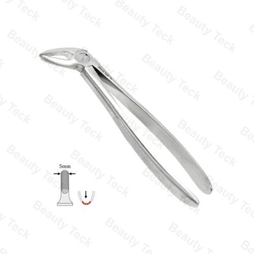 04 Lower Incisors, Canines EF, Serrated, EU