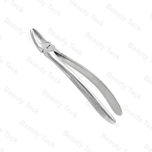 39 Lower Roots Both Sides EF, Serrated EU