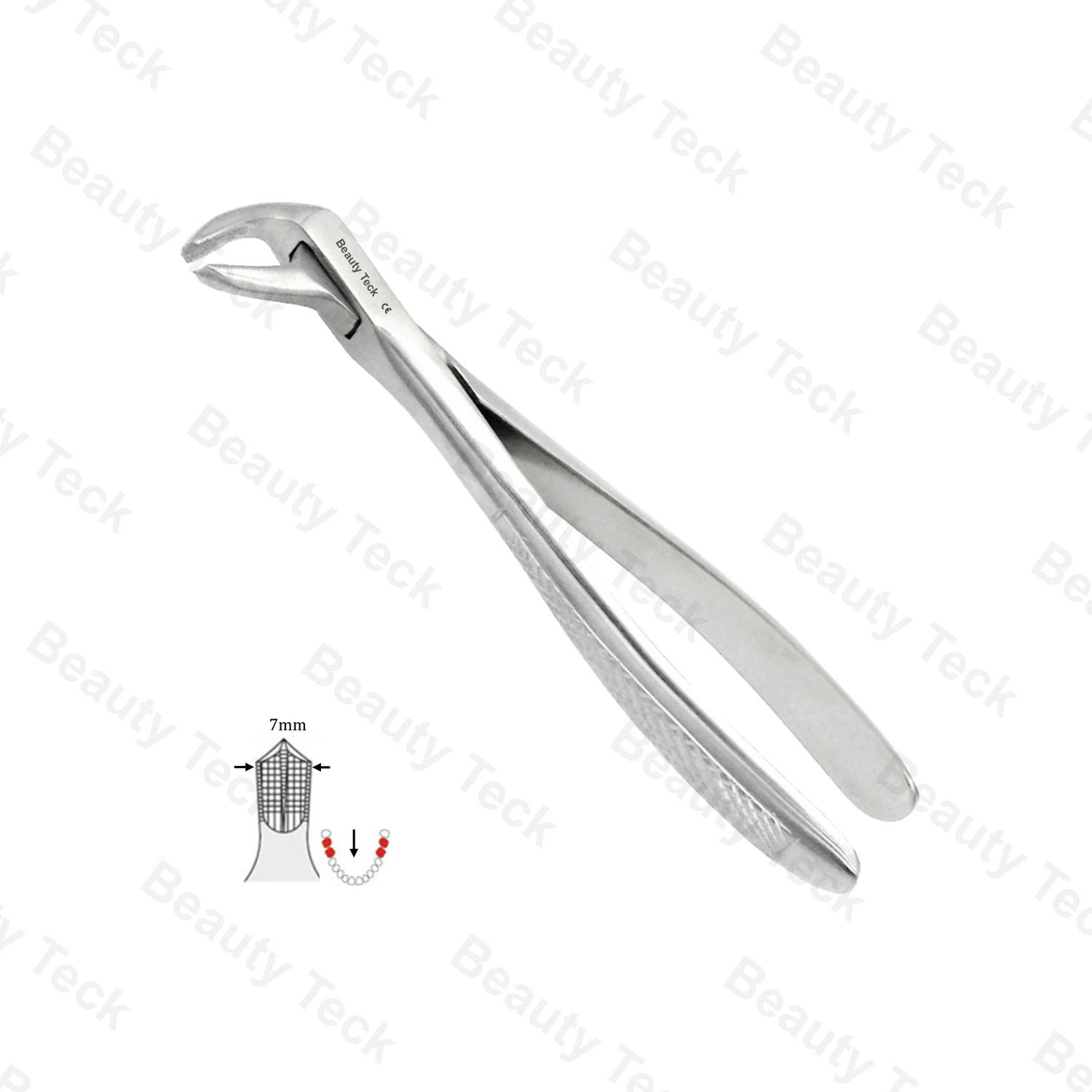 73 Lower Molars EF, Serrated EU