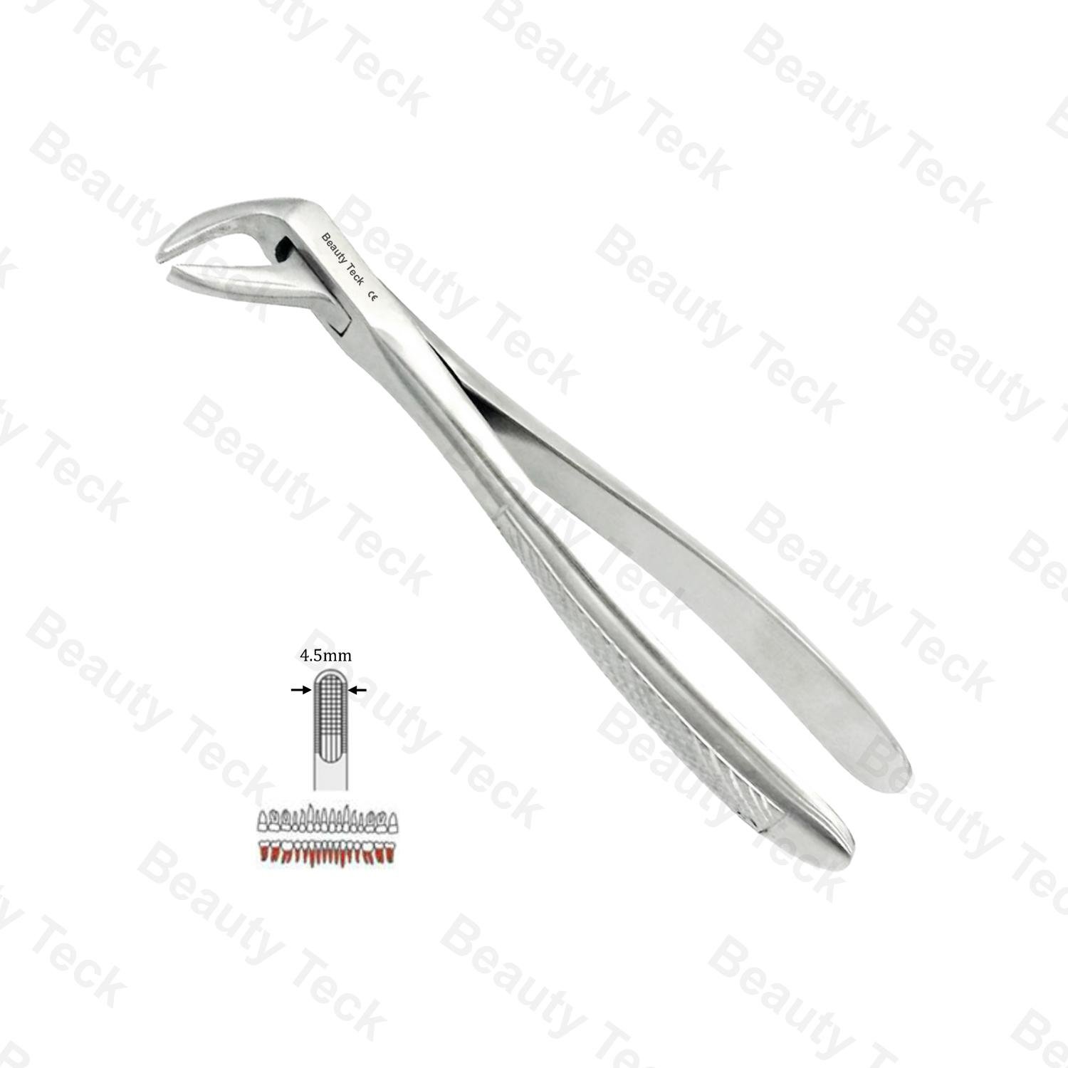 74 Lower Roots EF, Serrated, EU