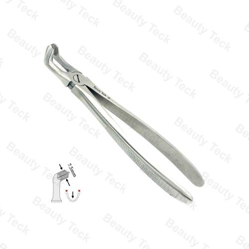 79 Lower Third Molars EF, Serrated EU