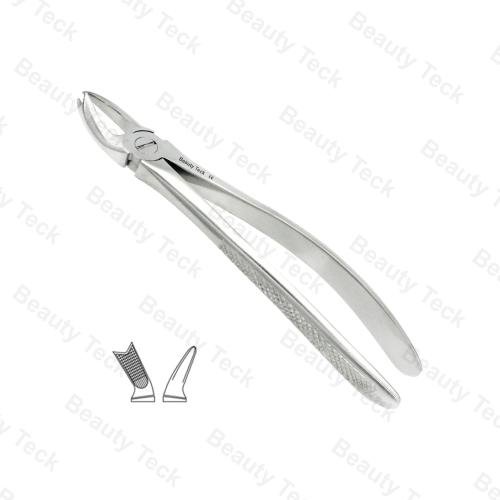 90 Upper Molars Left EF, Serrated, EU