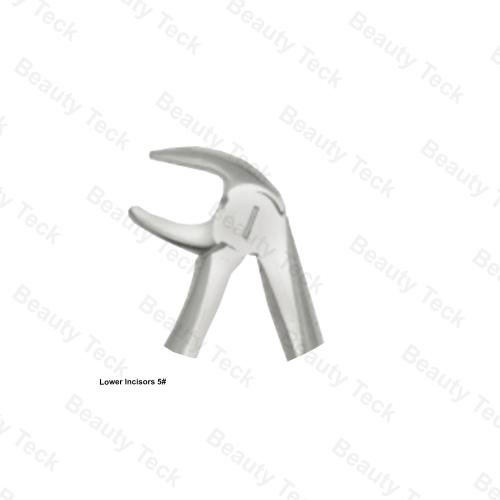 CHILDREN'S EXTRACTING FORCEPS LOWER SECTION   (FIG.5 LOWER INCISOR OF CHILD)