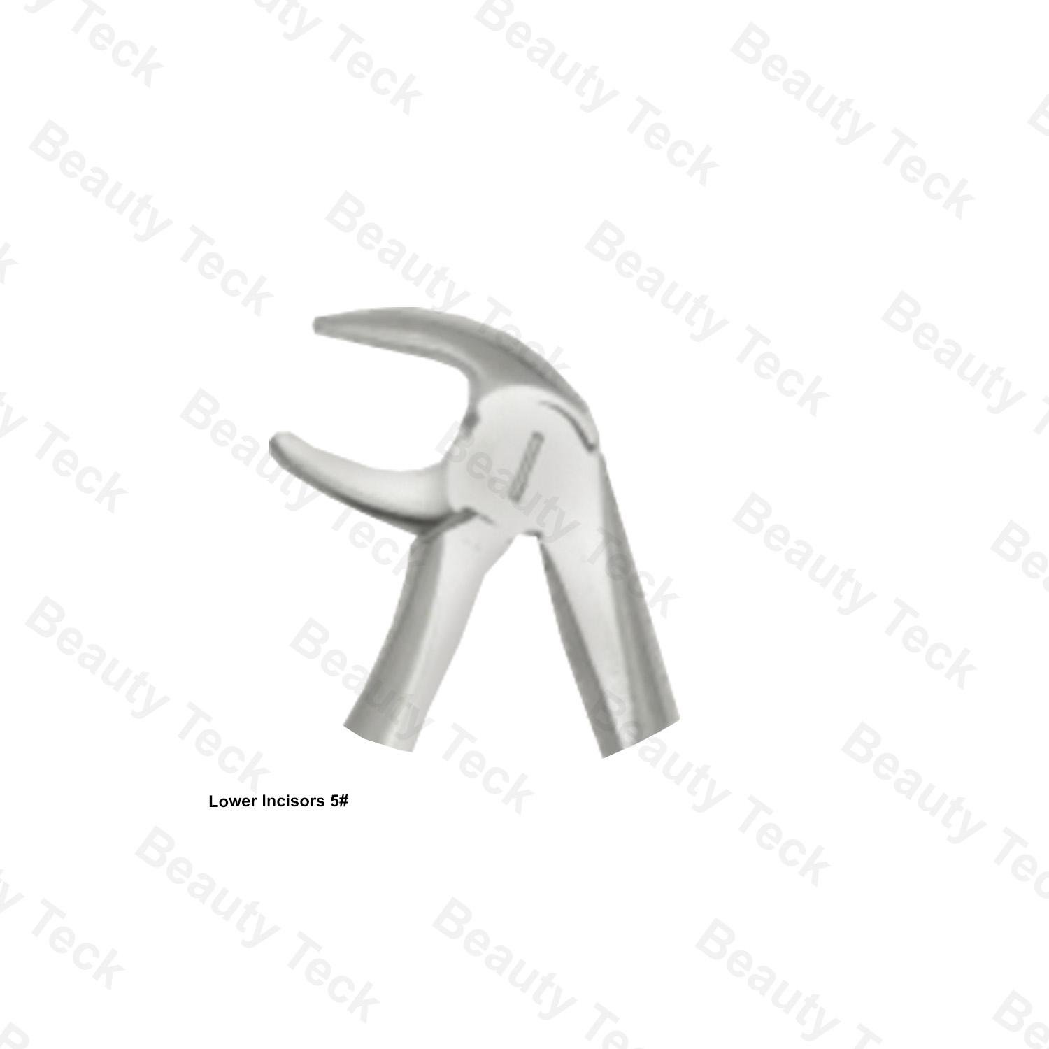 CHILDREN'S EXTRACTING FORCEPS LOWER SECTION   (FIG.5 LOWER INCISOR OF CHILD)