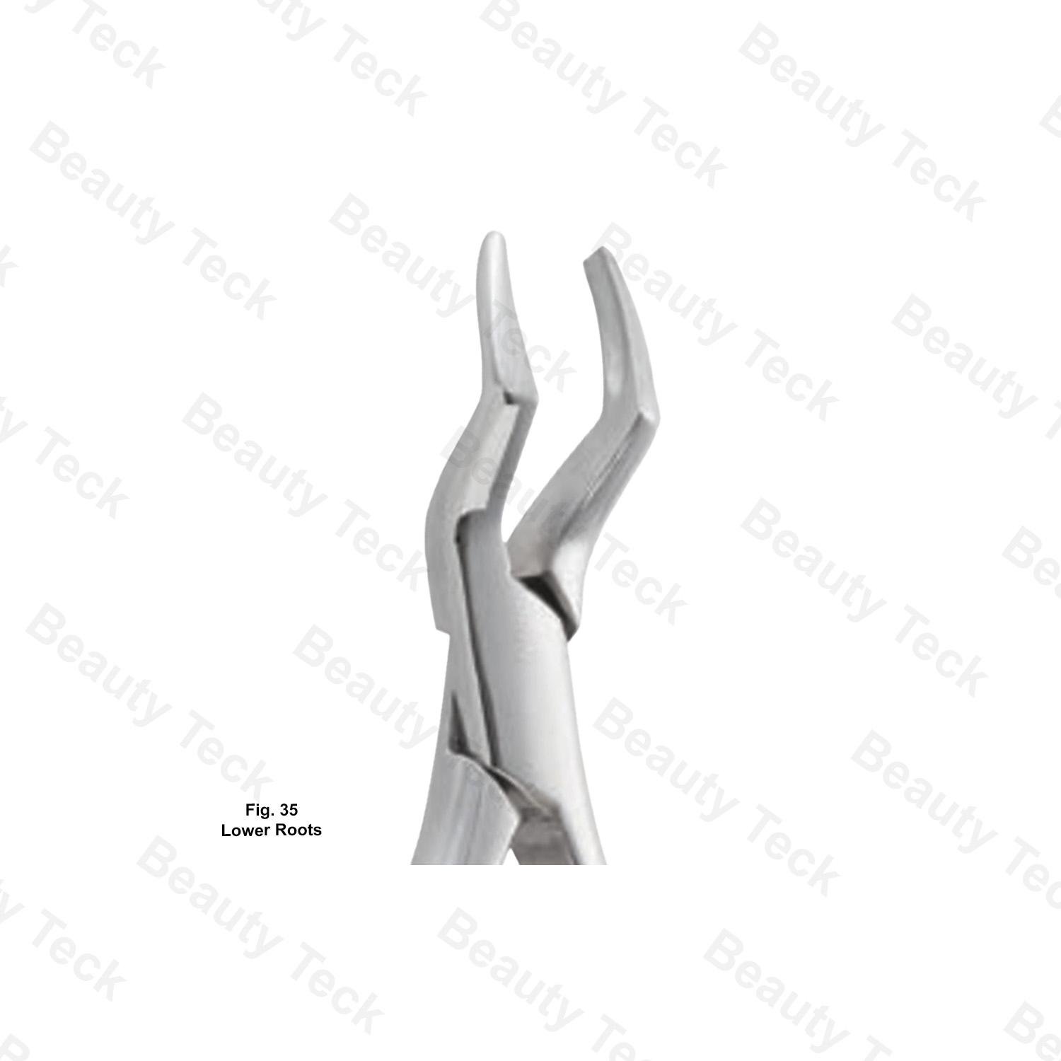 EXTRACTING FORCEP ENGLISH PATTERN (FIG.35 LOWER ROOTS)