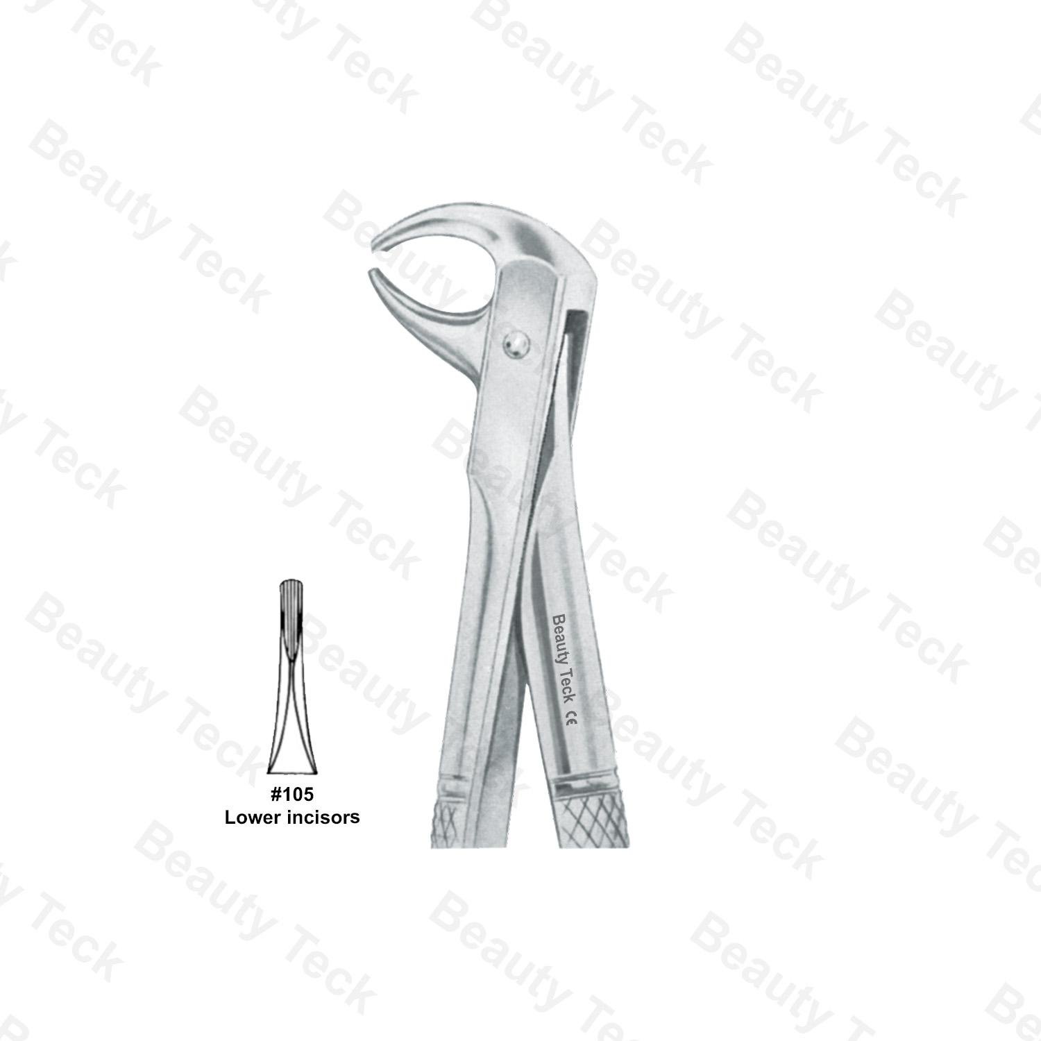 EXTRACTING FORCEPS  #105 ENGLISH PATTERN ( LOWER INCISORS)