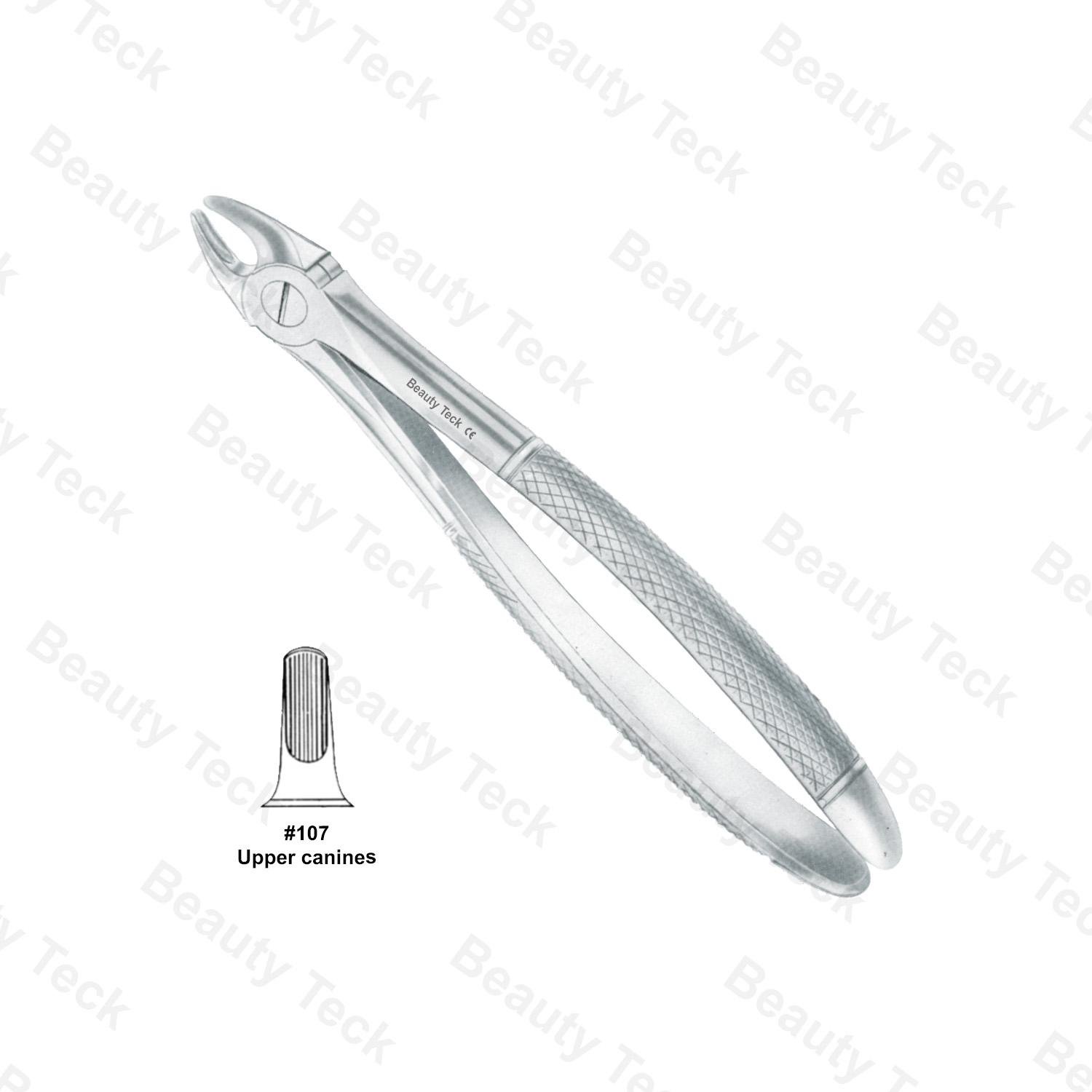 EXTRACTING FORCEPS #107 ENGLISH PATTERN ( UPPER CANINES)