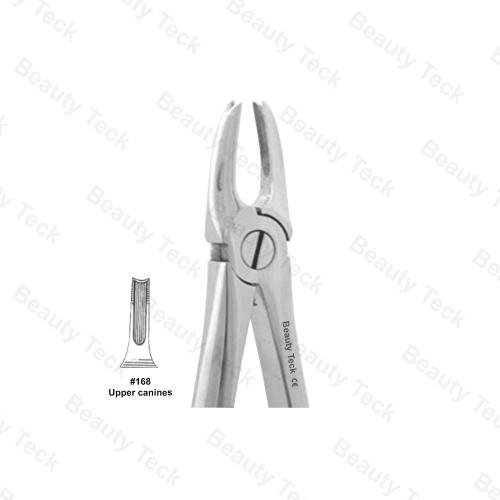 EXTRACTING FORCEPS  #168  ENGLISH PATTERN (UPPER CANINES)