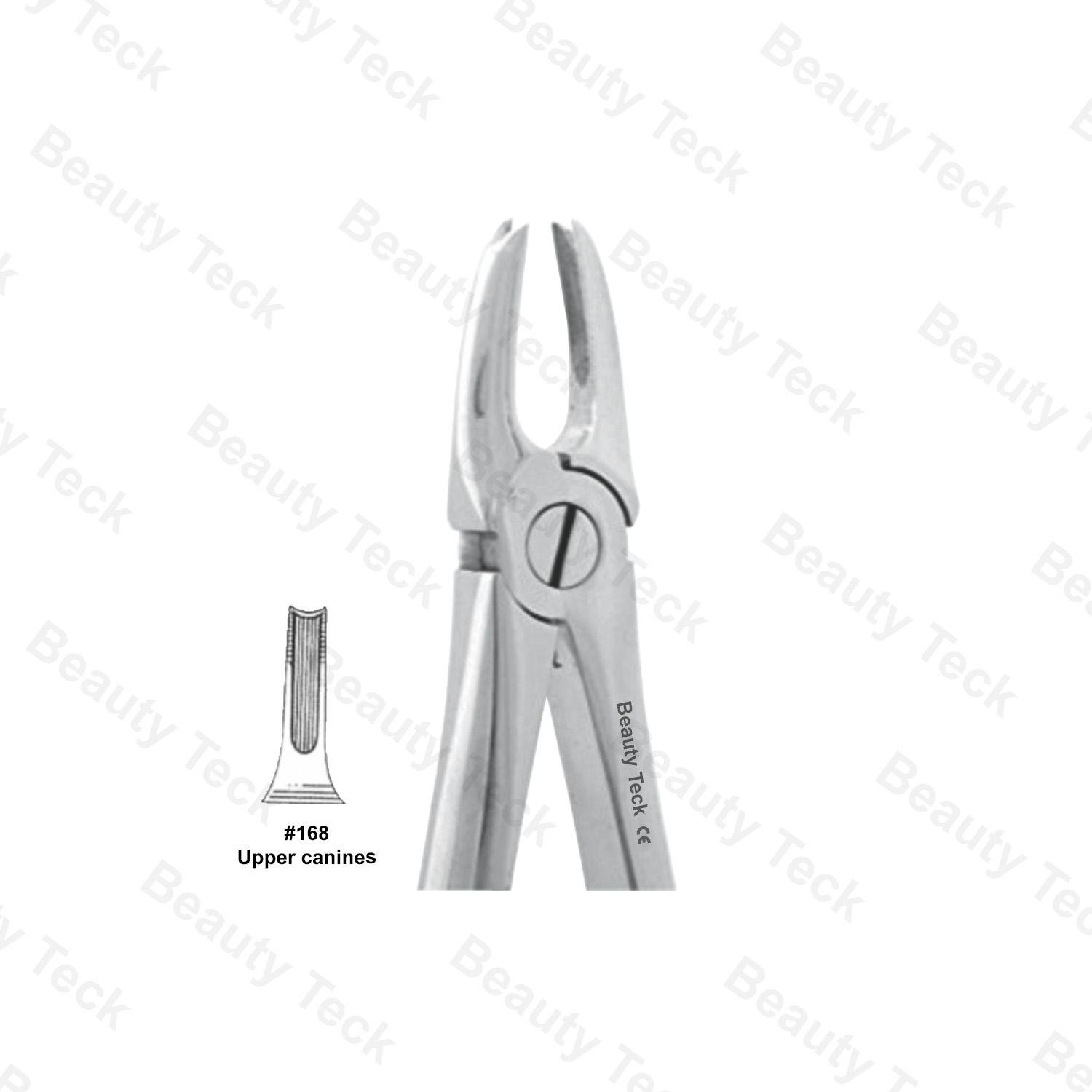 EXTRACTING FORCEPS  #168  ENGLISH PATTERN (UPPER CANINES)