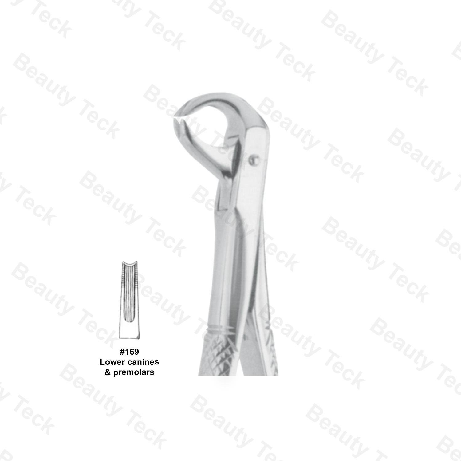 EXTRACTING FORCEPS  #169  ENGLISH PATTERN (LOWER CANINES & PREMOLARS)