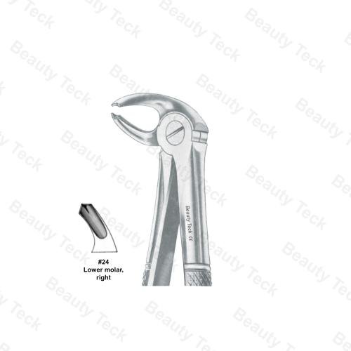 Extracting Forceps #24 English Pattern (Lower Molars, Right)