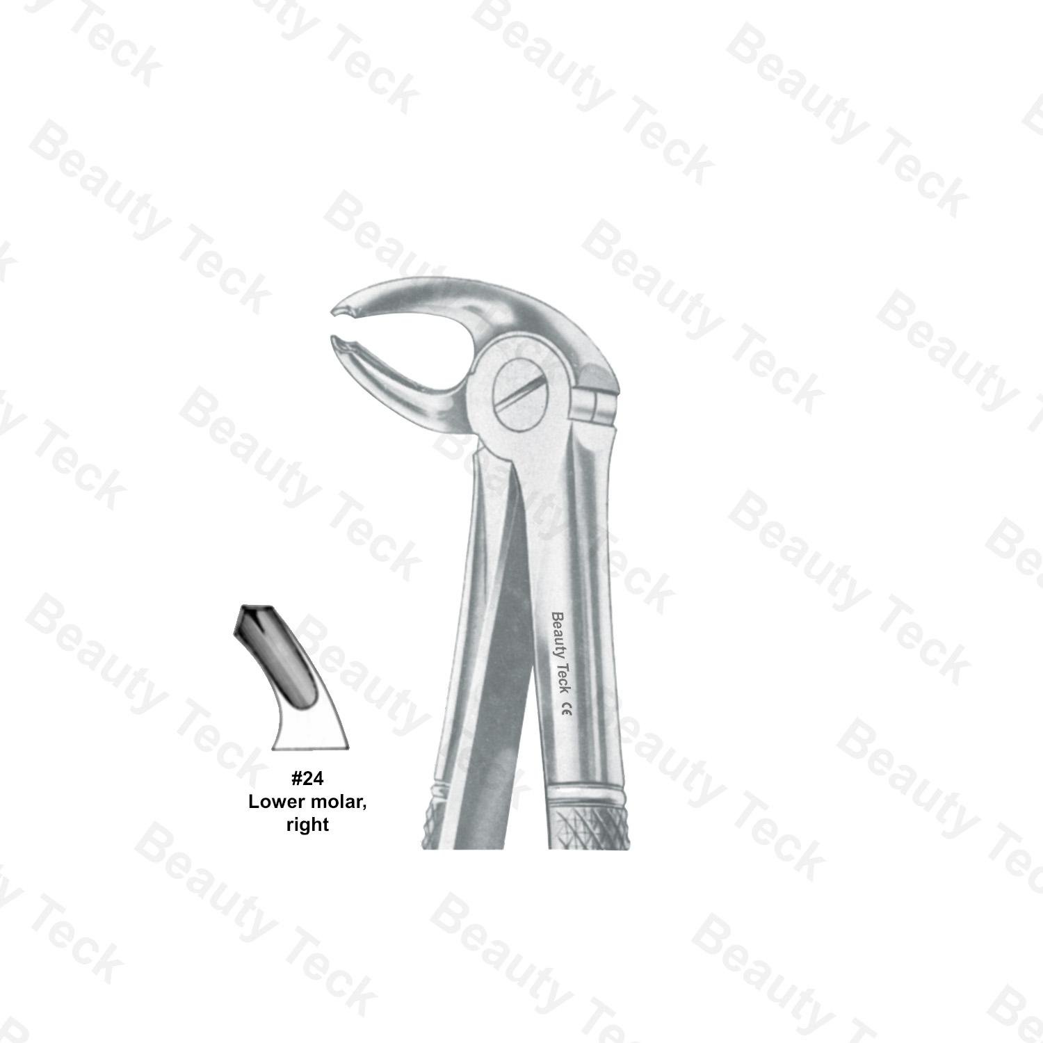 Extracting Forceps #24 English Pattern (Lower Molars, Right)