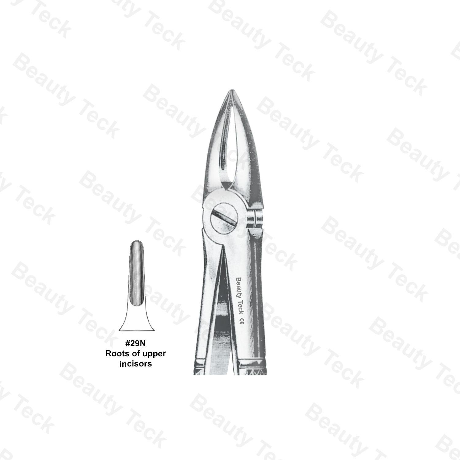 Extracting Forceps #29N English Pattern (Roots of Upper Incisors)