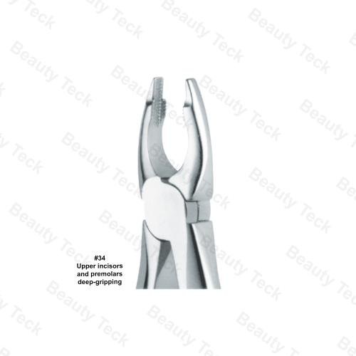 Extracting Forceps #34 English Pattern (Upper Incisors and Premolars, Deep-Gripping)