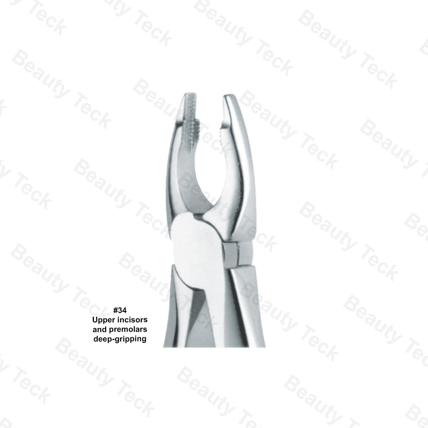 Extracting Forceps #34 English Pattern (Upper Incisors and Premolars, Deep-Gripping)