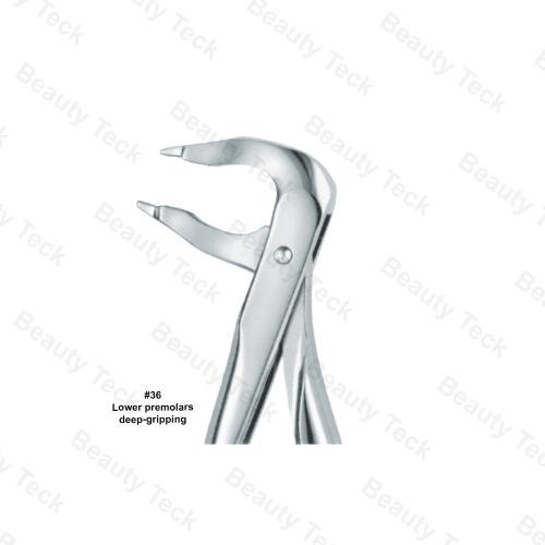 Extracting Forceps #36 English Pattern (Lower Premolars, Deep-Gripping)