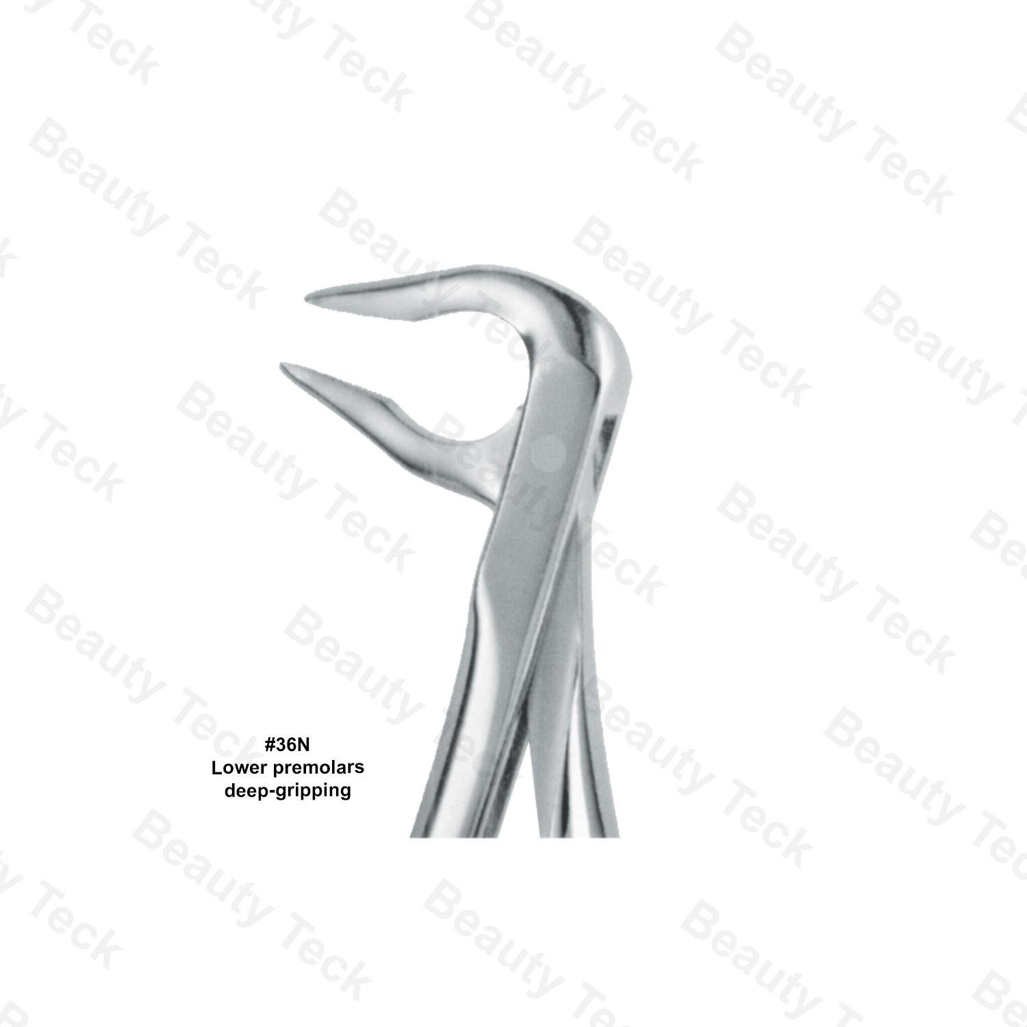Extracting Forceps #36N English Pattern (Lower Premolars, Deep-Gripping)