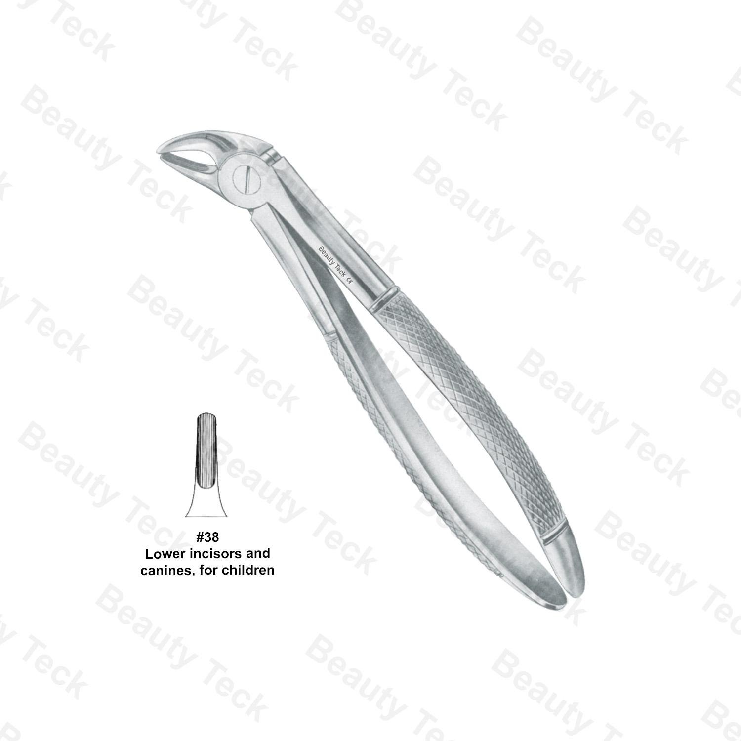 Extracting Forceps #38 English Pattern (Lower Incisors and Canines, for Children)