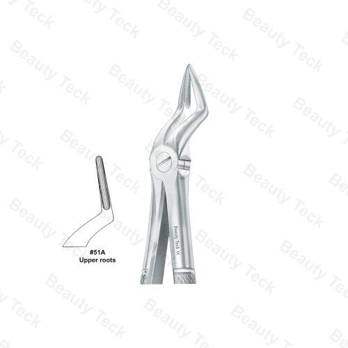 EXTRACTING FORCEPS  #51A ENGLISH PATTERN (UPPER ROOTS )