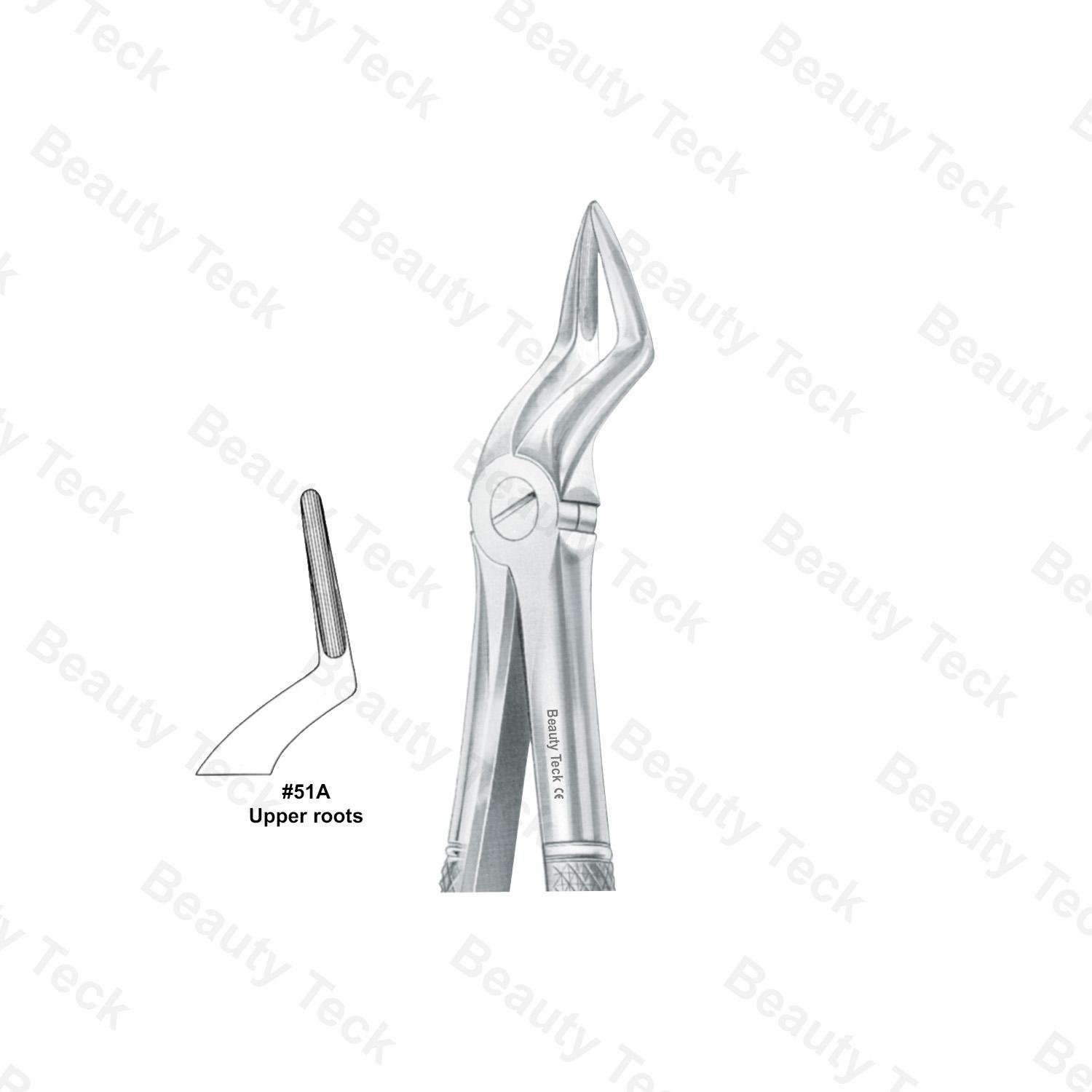 EXTRACTING FORCEPS  #51A ENGLISH PATTERN (UPPER ROOTS )