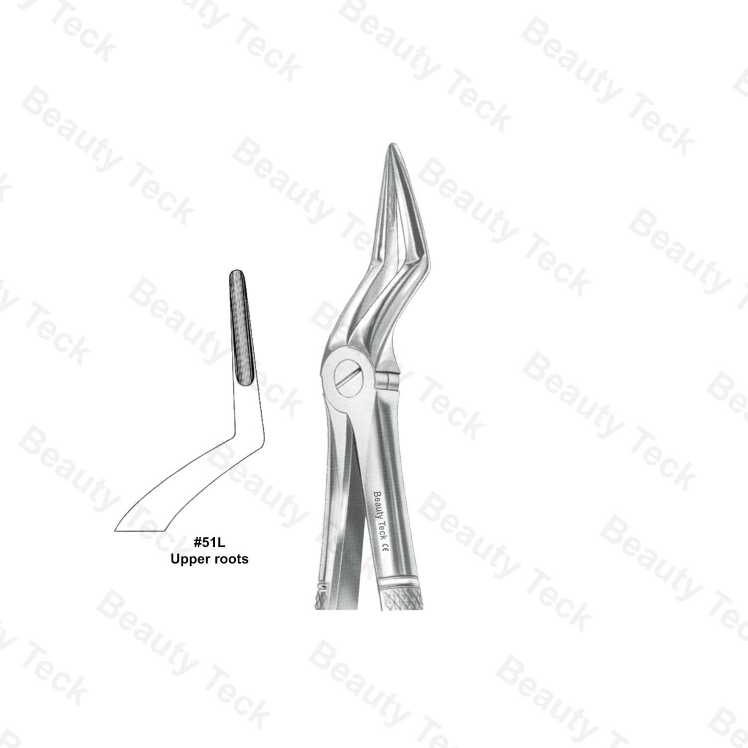 EXTRACTING FORCEPS  #51L ENGLISH PATTERN (UPPER ROOTS )