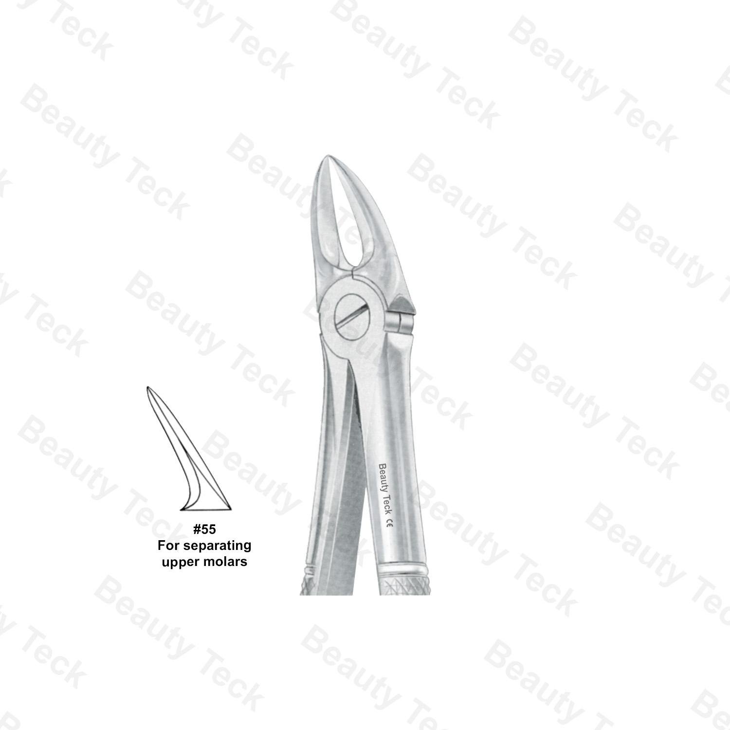 EXTRACTING FORCEPS  #55 ENGLISH PATTERN (FOR SEPERATING UPPER MOLARS )