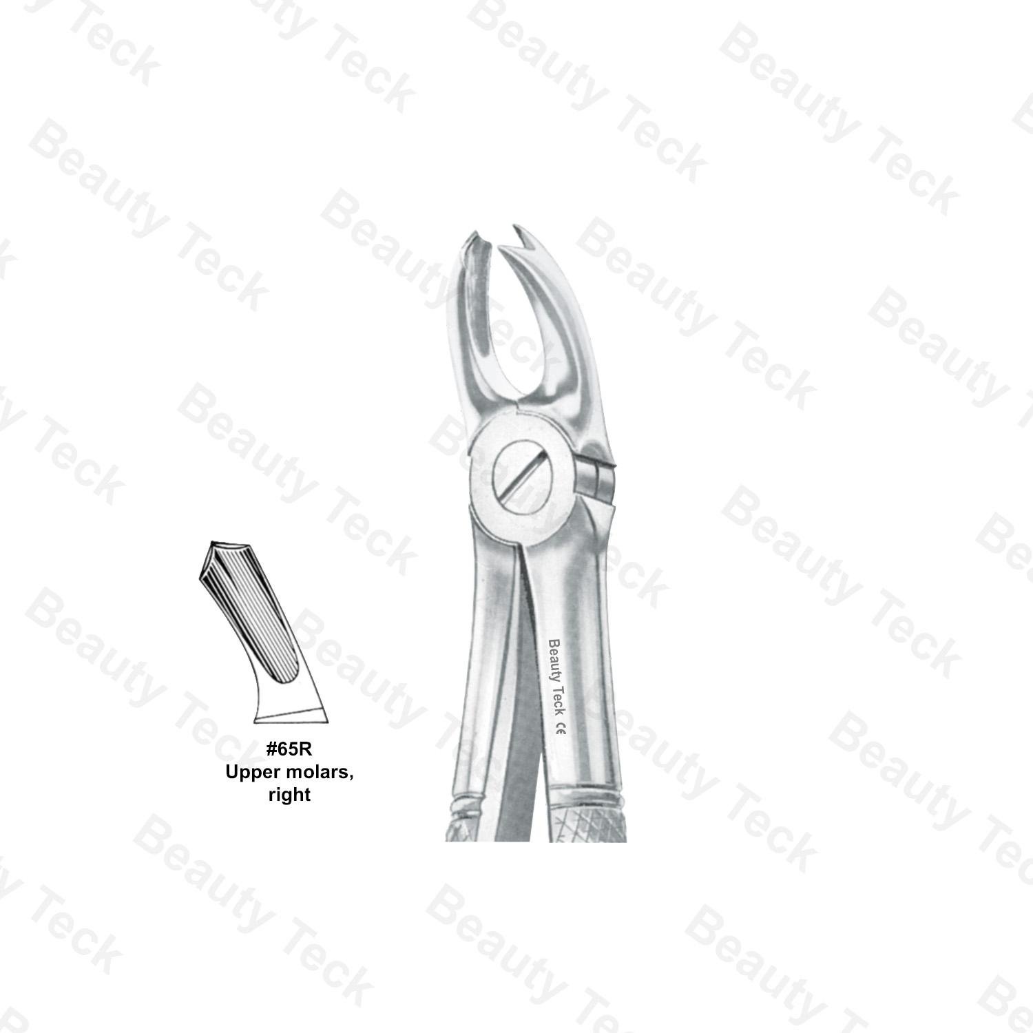 EXTRACTING FORCEPS  #65R ENGLISH PATTERN (UPPER MOLARS, RIGHT )