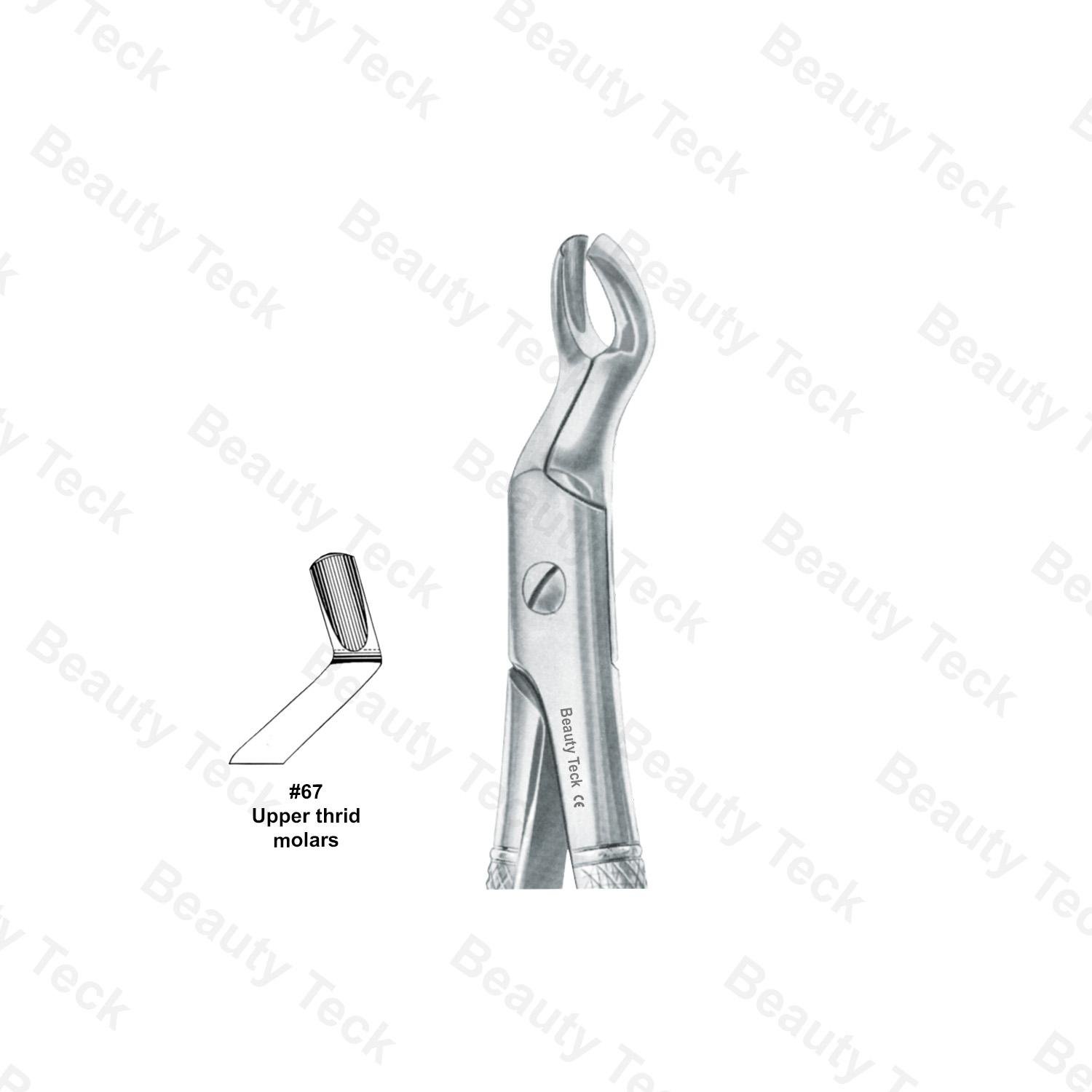 EXTRACTING FORCEPS  #67 ENGLISH PATTERN (UPPER THIRD MOLARS )