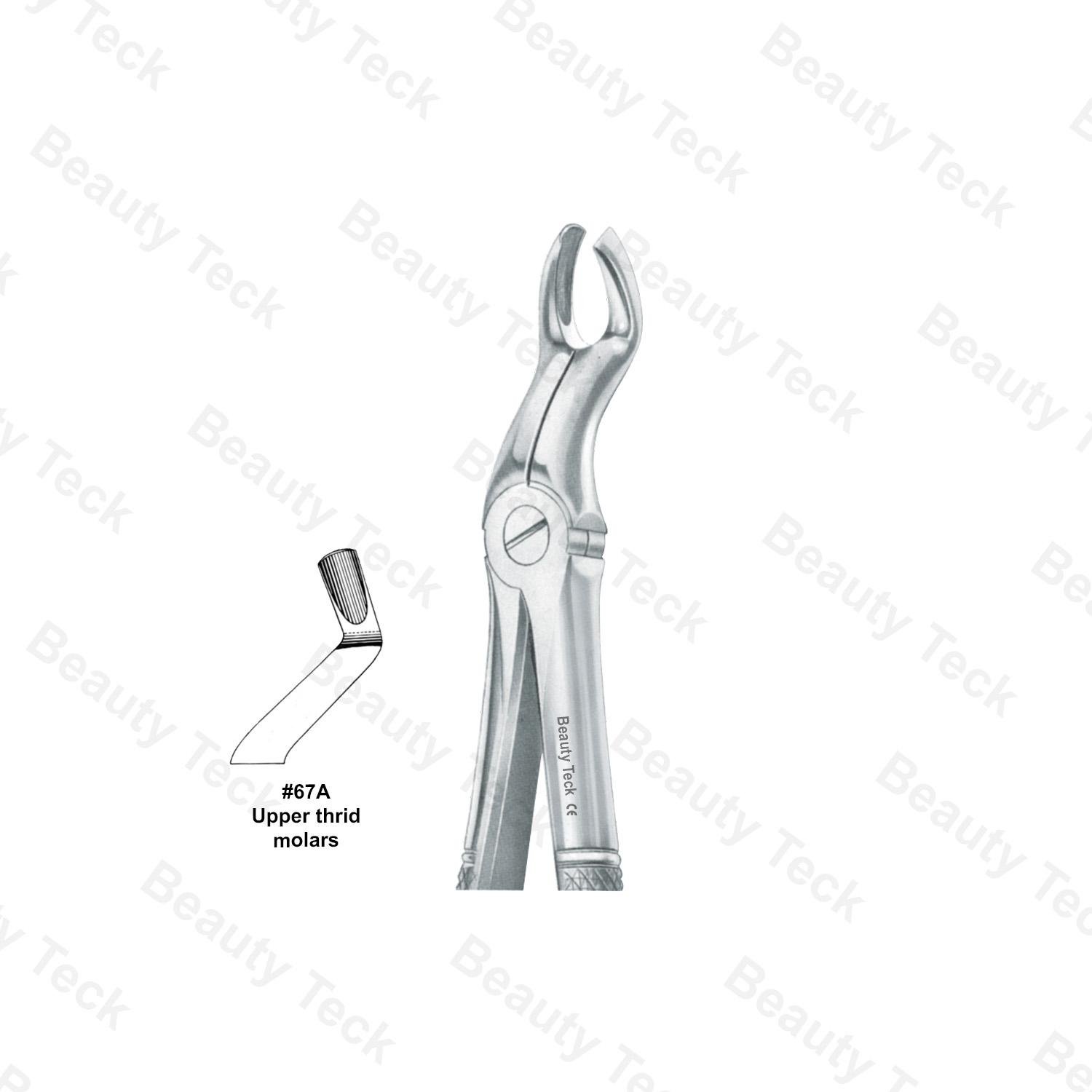 EXTRACTING FORCEPS  #67A ENGLISH PATTERN (UPPER THIRD MOLARS )
