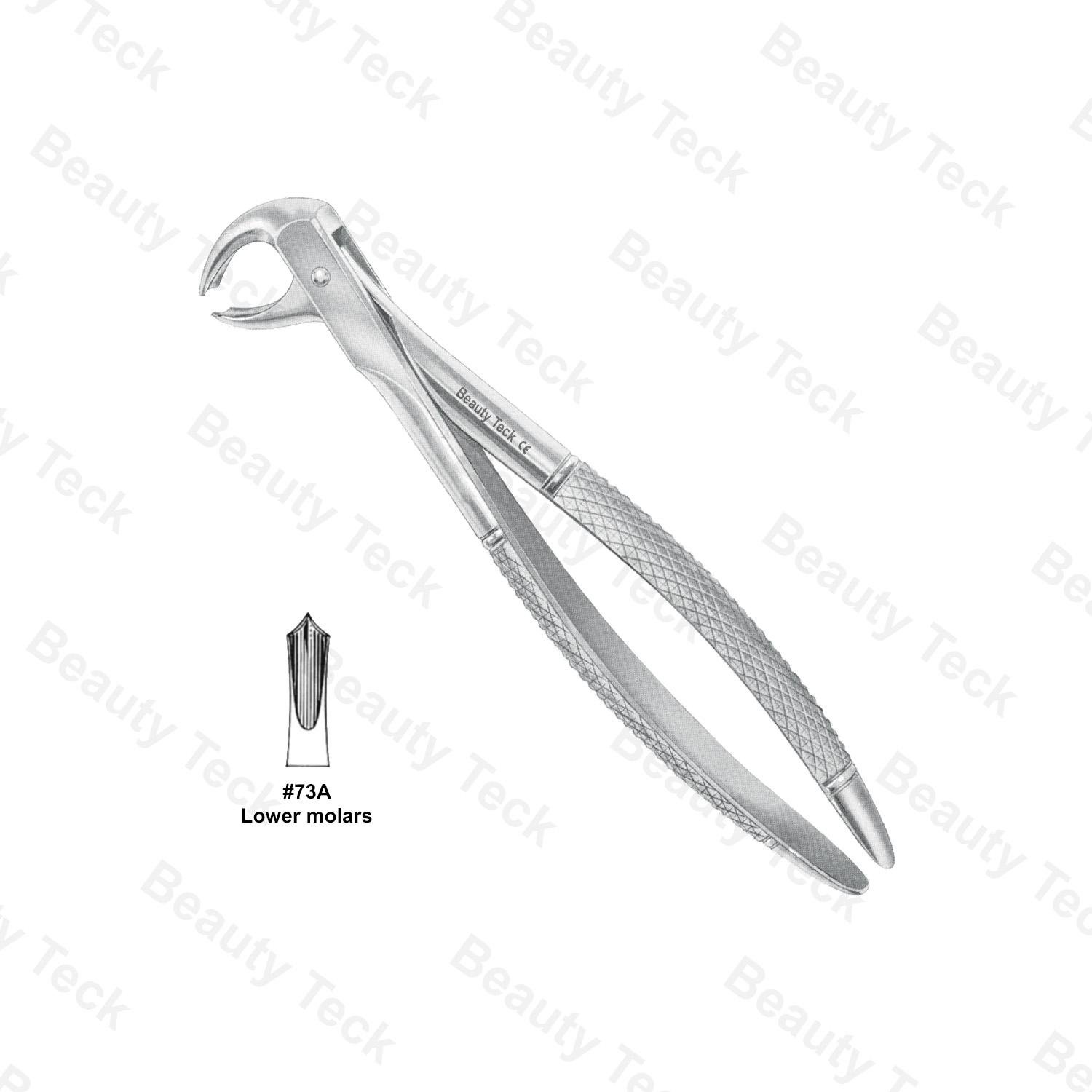 EXTRACTING FORCEPS  #73 A  L ENGLISH PATTERN (LOWER MOLARS)