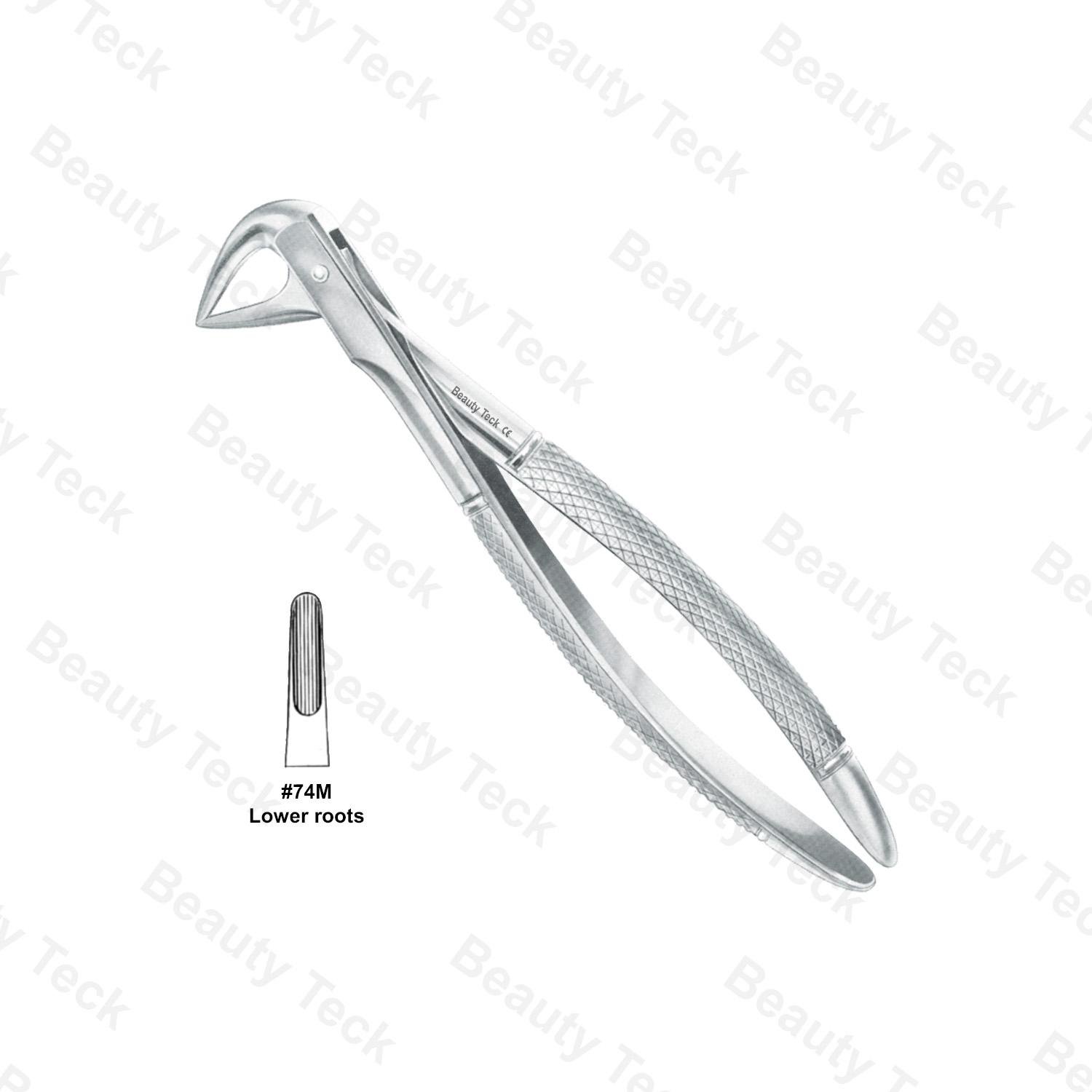 EXTRACTING FORCEPS  #74 M  L ENGLISH PATTERN (LOWER ROOTS)