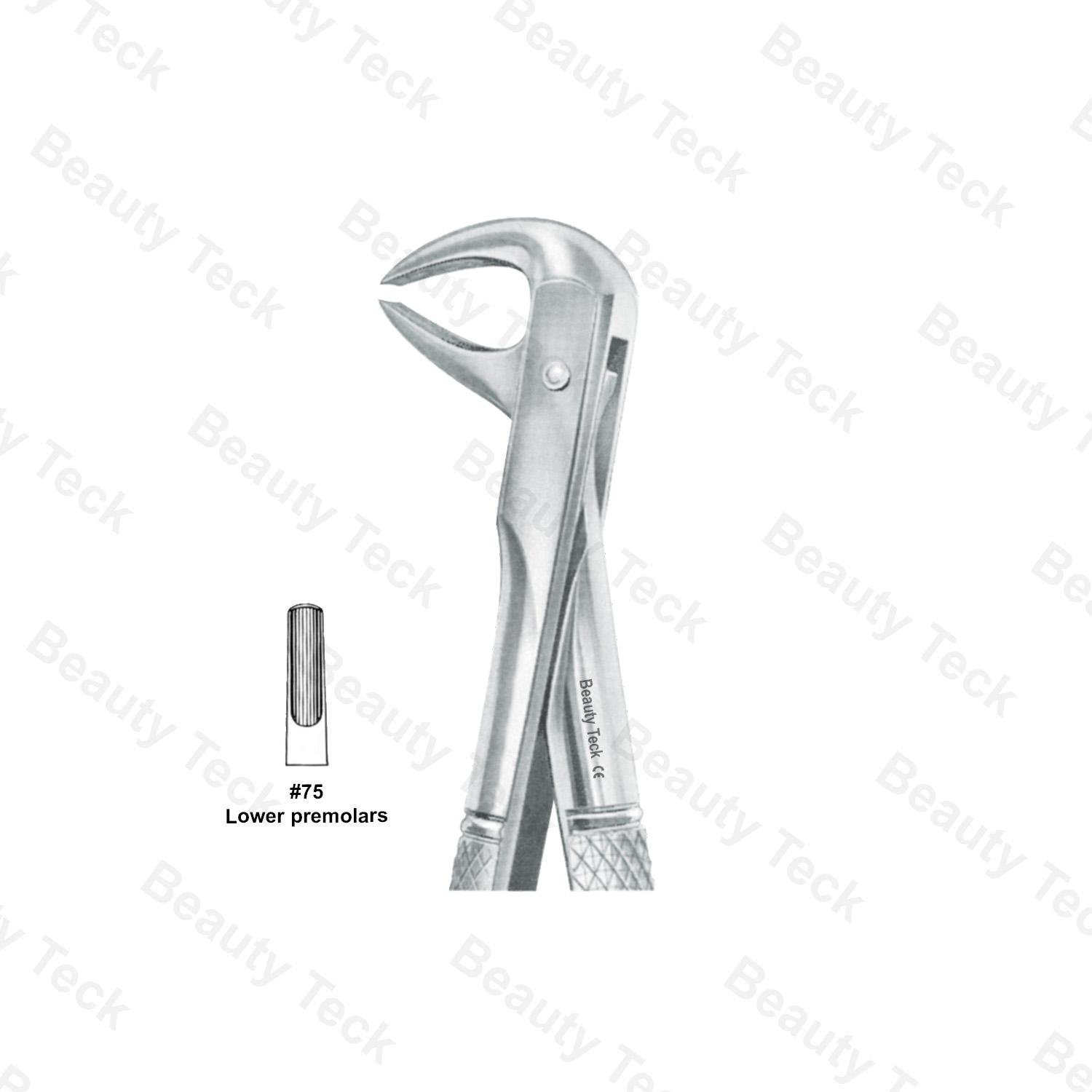 EXTRACTING FORCEPS  #75  L ENGLISH PATTERN (LOWER PREMOLARS)