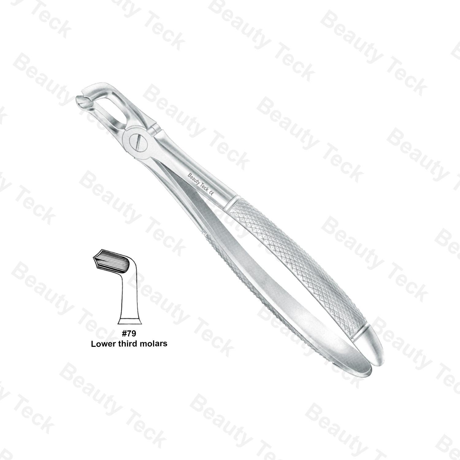 EXTRACTING FORCEPS #79 ENGLISH PATTERN (LOWER THIRD MOLARS)