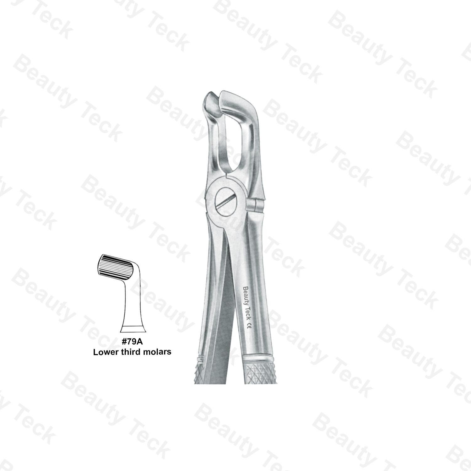 EXTRACTING FORCEPS  #79A ENGLISH PATTERN (LOWER THIRD MOLARS)