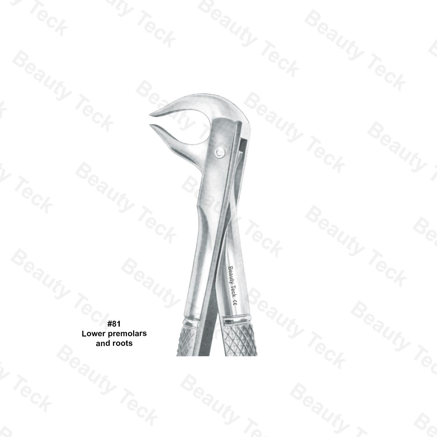 EXTRACTING FORCEPS  #81 ENGLISH PATTERN (LOWER PREMOLARS AND ROOTS)