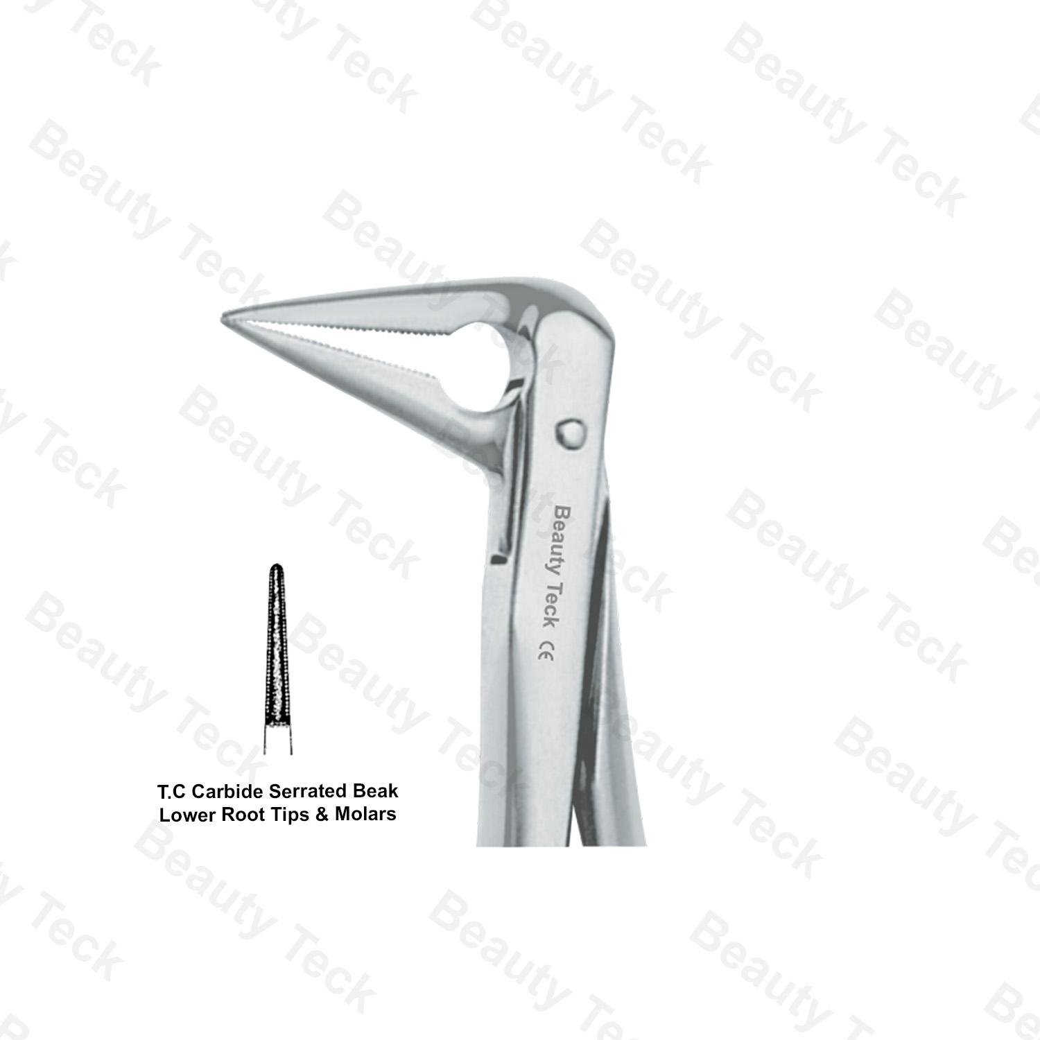 EXTRACTING FORCEPS  AMERICAN PATTERN (CARBIDE SERRATED BEAK LOWER ROOT TIPS & MOLARS T.C)