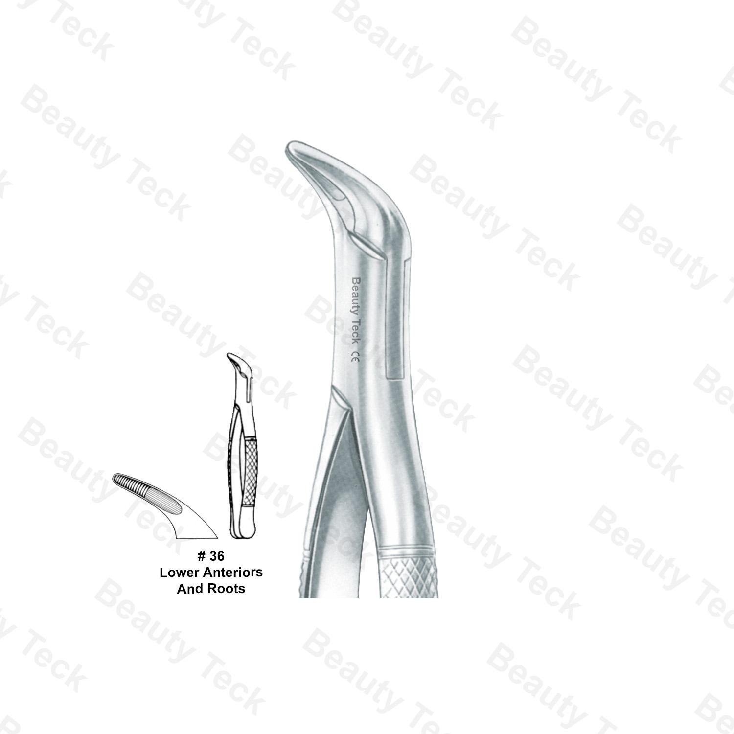 EXTRACTING FORCEPS AMERICAN PATTERN (LOWER ANTERIORS, & ROOTS)  #36