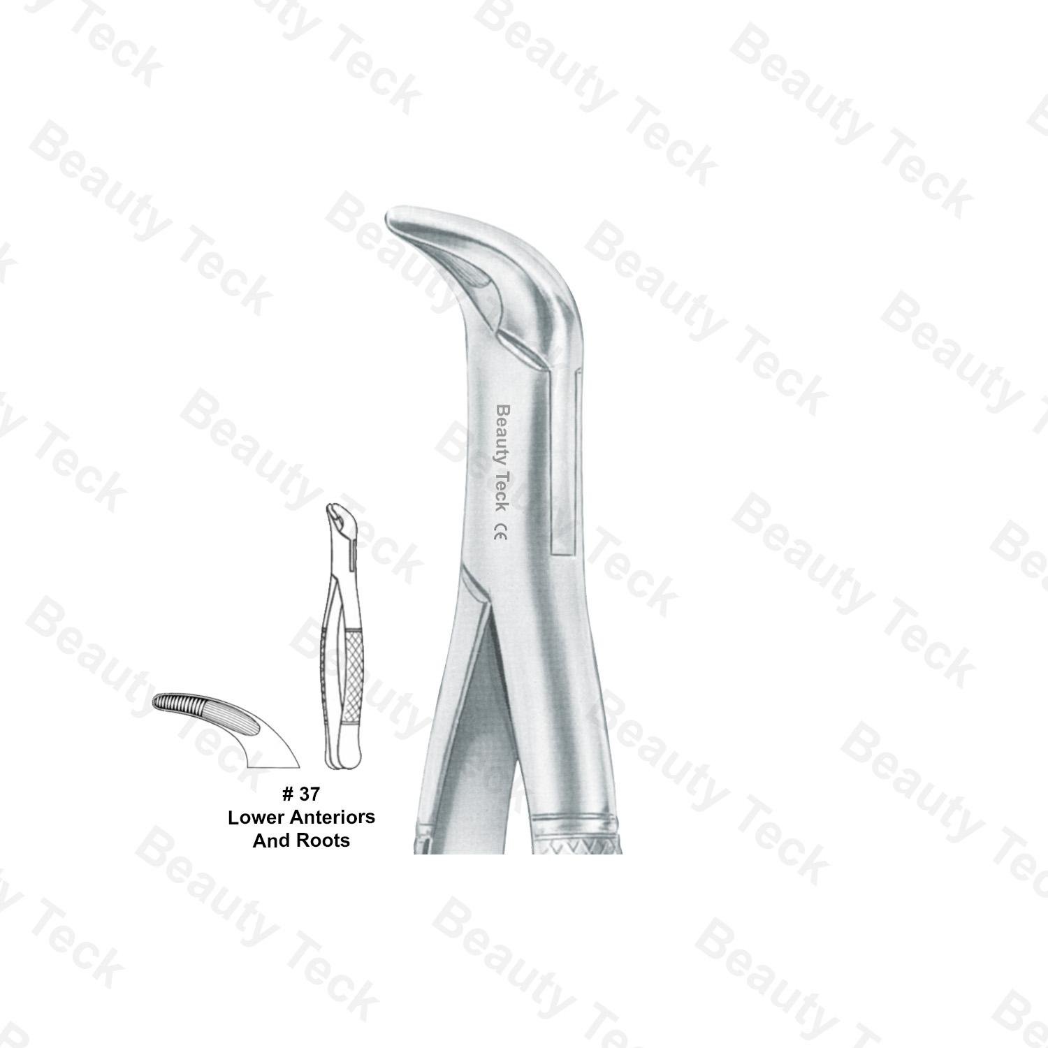 EXTRACTING FORCEPS AMERICAN PATTERN (LOWER ANTERIORS, & ROOTS)  # 37