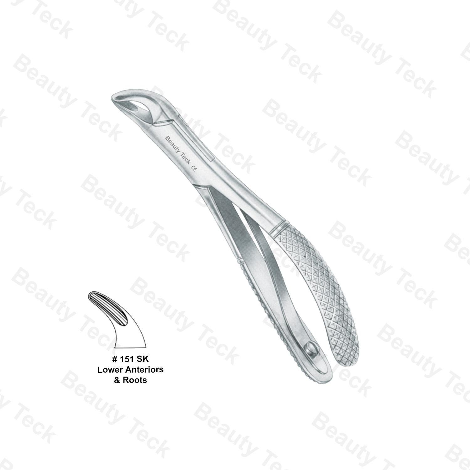 EXTRACTING FORCEPS AMERICAN PATTERN (LOWER ANTERIORS & ROOTS) #151 SK